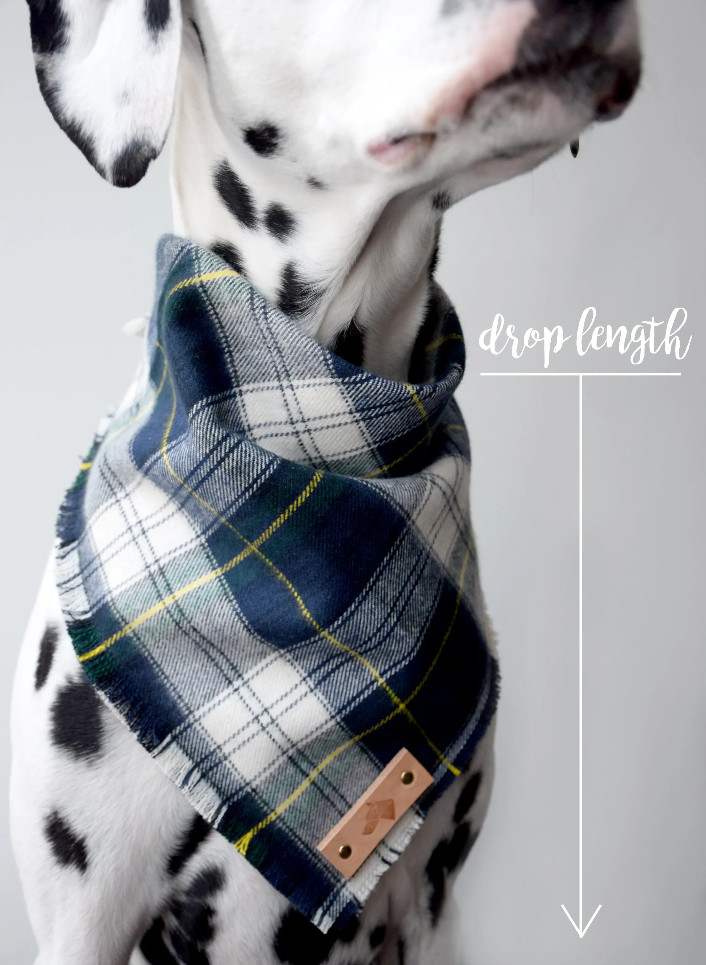 CLOVE Fringed Flannel Dog Bandana - Snap/Tie On Cotton Scarf